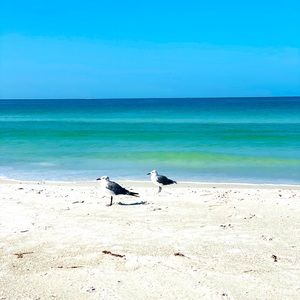 Meet your Posher, Lizbeth